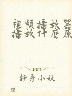 视频播放器无法播放什么原因
