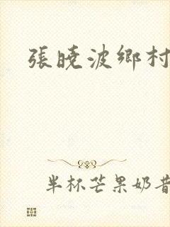 张晓波乡村爱情
