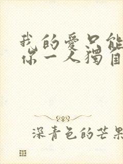 我的爱只能够让你一人独自拥有歌词