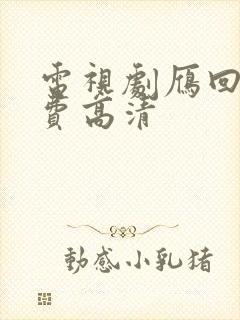 电视剧雁回时免费高清