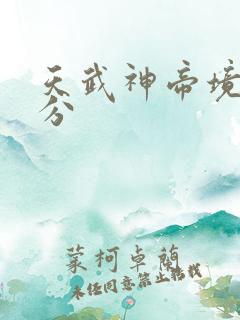 天武神帝境界划分