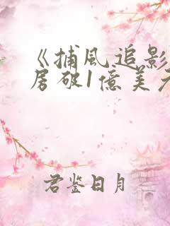 《捕风追影》票房破1亿美元