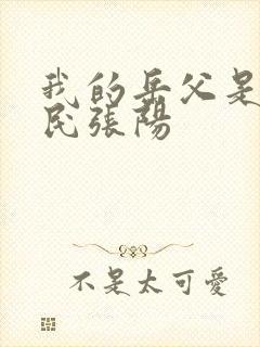 我的岳父是李世民张阳