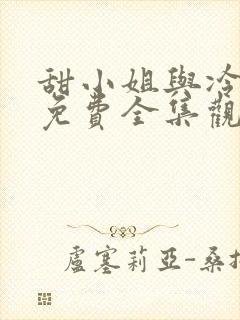 甜小姐与冷先生免费全集观看