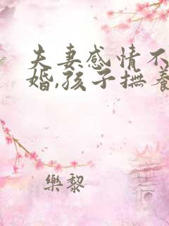 夫妻感情不和离婚,孩子抚养权怎么判