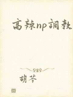 高辣np调教文