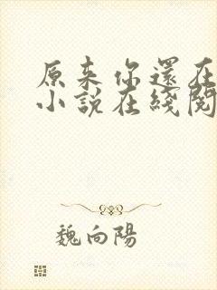 原来你还在这里小说在线阅读