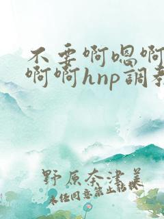 不要啊嗯啊啊啊啊啊hnp调教