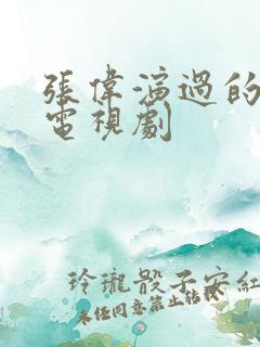 张伟演过的全部电视剧