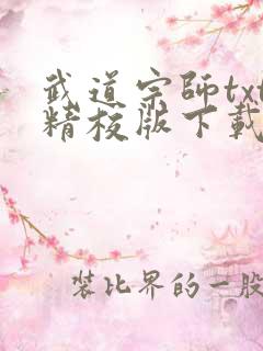 武道宗师txt精校版下载