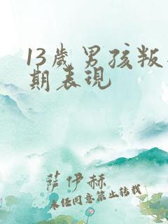 13岁男孩叛逆期表现