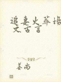 追妻火葬场po 文古言