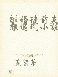 离婚后前夫总是想追我小说免费阅读