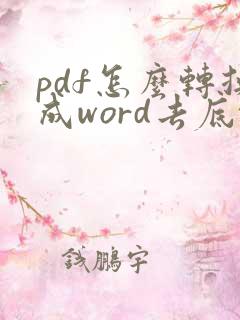 pdf怎么转换成word去底纹