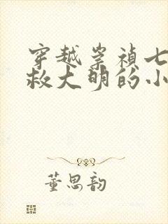 穿越崇祯七天拯救大明的小说