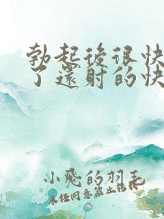 勃起后很快就软了还射的快