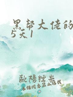黑帮大佬的365天1