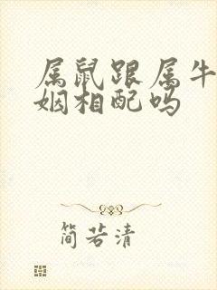 属鼠跟属牛的婚姻相配吗