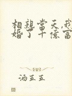 相亲当天,我闪婚了千亿富豪完结篇