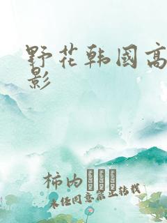 野花韩国高清电影