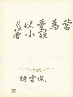 《以爱为营》原著小说