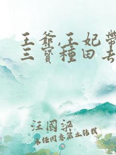 王爷,王妃带着三宝种田去了在线阅读