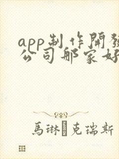 app制作开发公司那家好