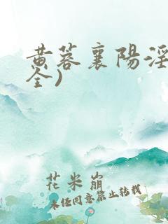 黄蓉襄阳淫史(全)