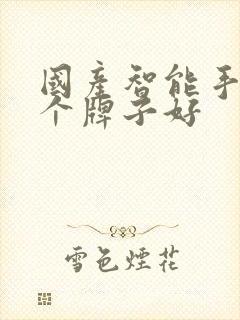国产智能手表哪个牌子好
