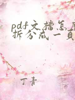 pdf文档怎么拆分成一页一页的