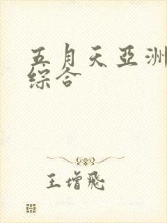 五月天亚洲婷婷综合