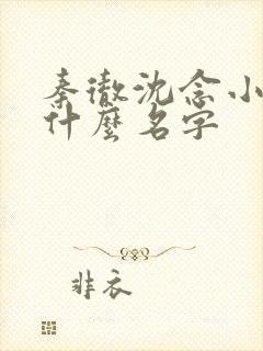 秦彻沈念小说叫什么名字