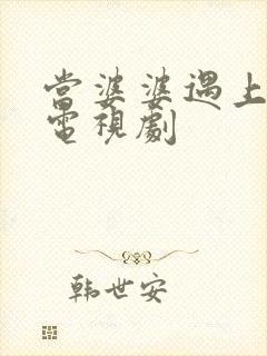 当婆婆遇上的妈电视剧