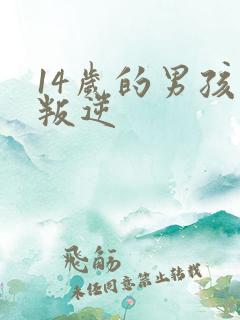 14岁的男孩子叛逆