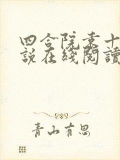 四合院袁十三小说在线阅读