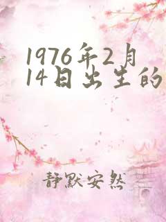 1976年2月14日出生的生辰八字