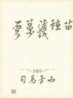 石菖蒲种苗一斤多少钱