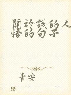 关于钱的人生感悟的句子