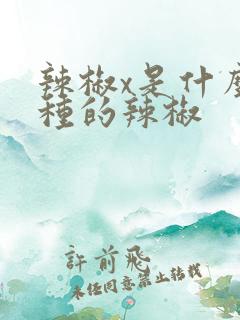 辣椒x是什么品种的辣椒