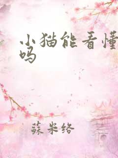 小猫能看懂电视吗