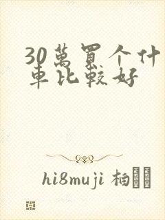 30万买个什么车比较好