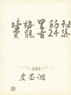 暗格里的秘密免费观看24集全