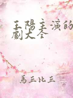 王阳主演的电视剧大全