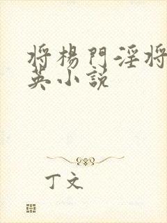 将杨门淫将穆桂英小说