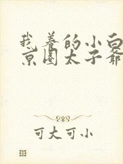 我养的小白脸是京圈太子爷短剧免费