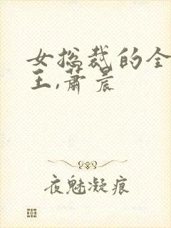 女总裁的全能兵王,萧晨