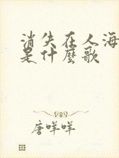 消失在人海尽头是什么歌