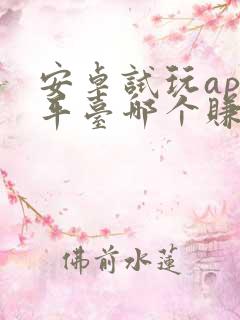安卓试玩app平台哪个赚得多