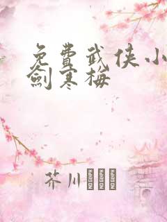 免费武侠小说金剑寒梅