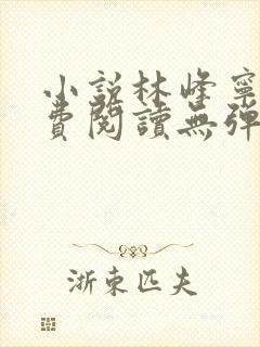 小说林峰宁欣免费阅读无弹窗